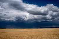 2022-08-04-14.08.23-Wheatfield-StormClouds-Landscape-Farming-Travel-Filters-SM