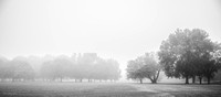 2020-10-04 07.13.53-1-Meadowbrook-Fog-Trees-Horizontal-BW-SM